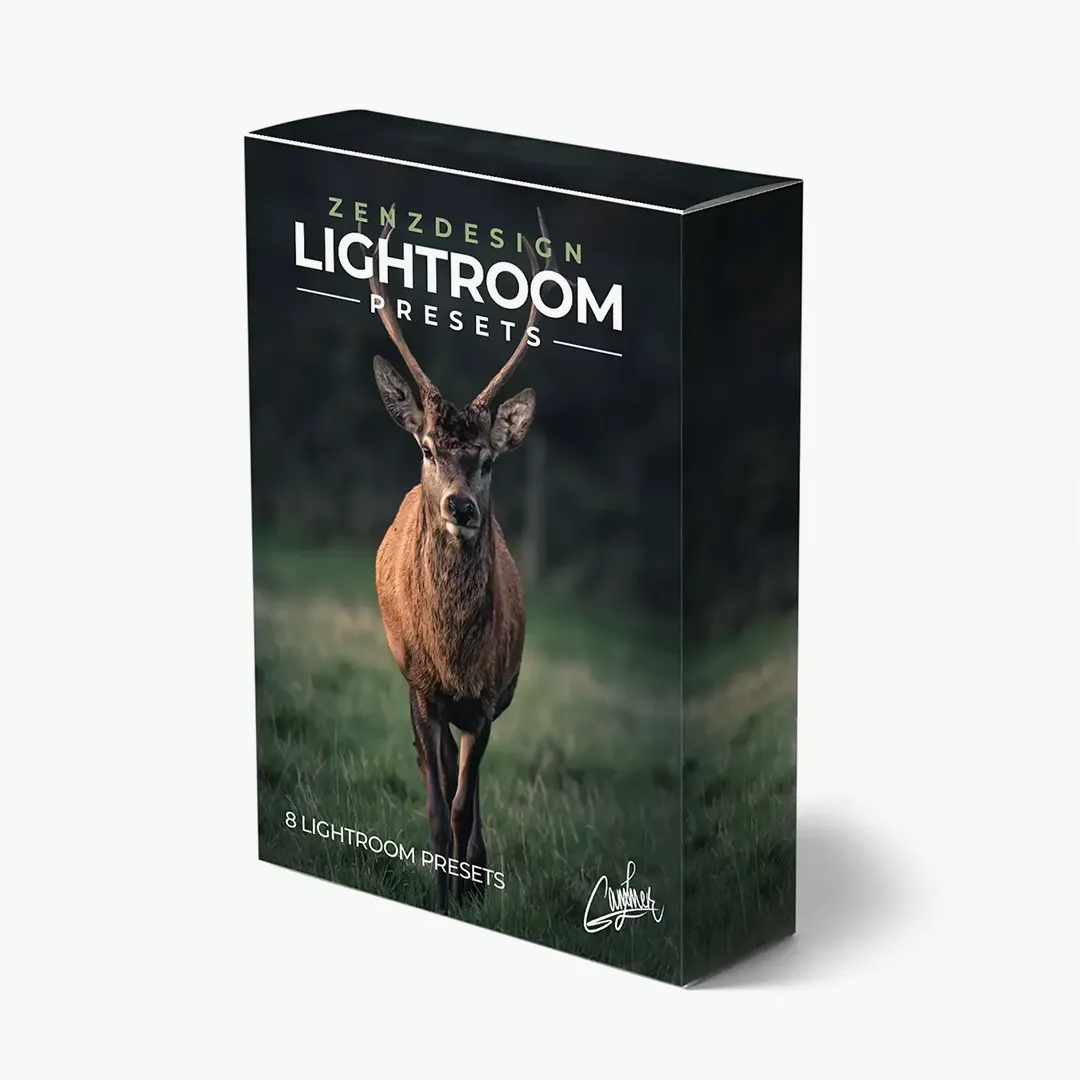 LightroomPresets