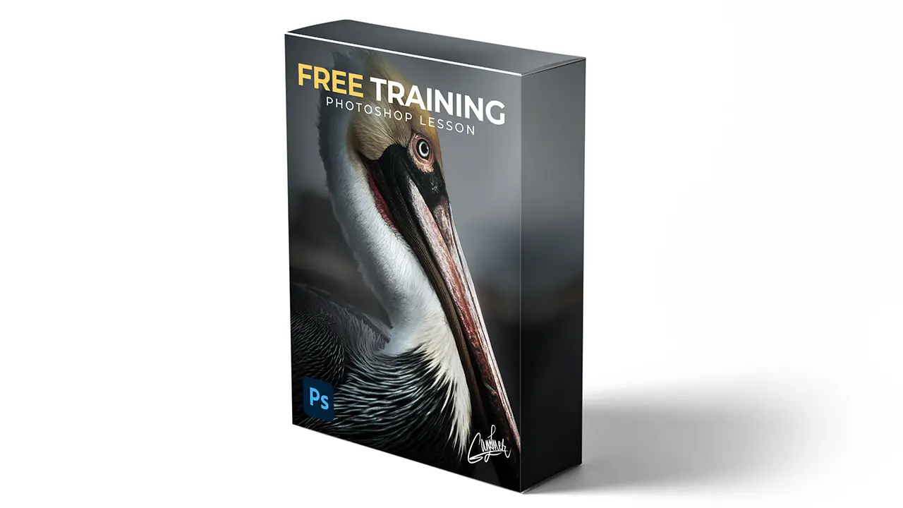 Free Training