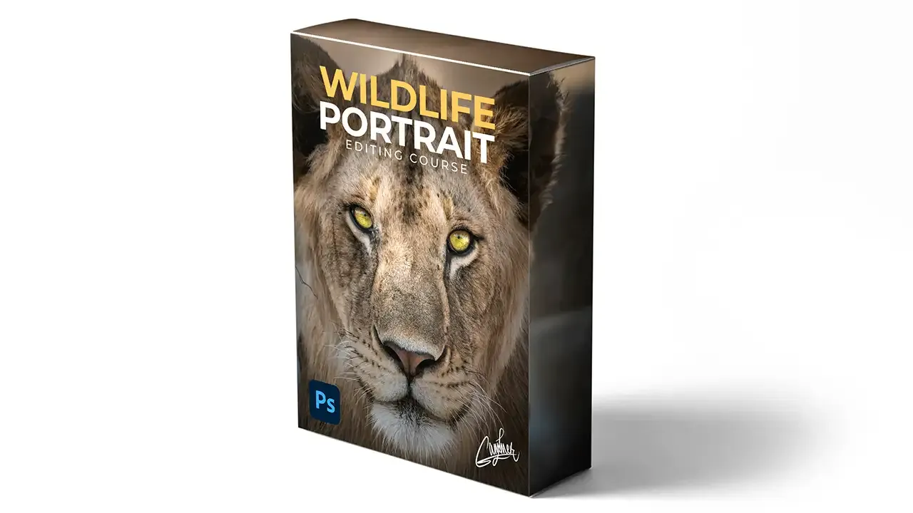 Wildlife Portrait Editing Course